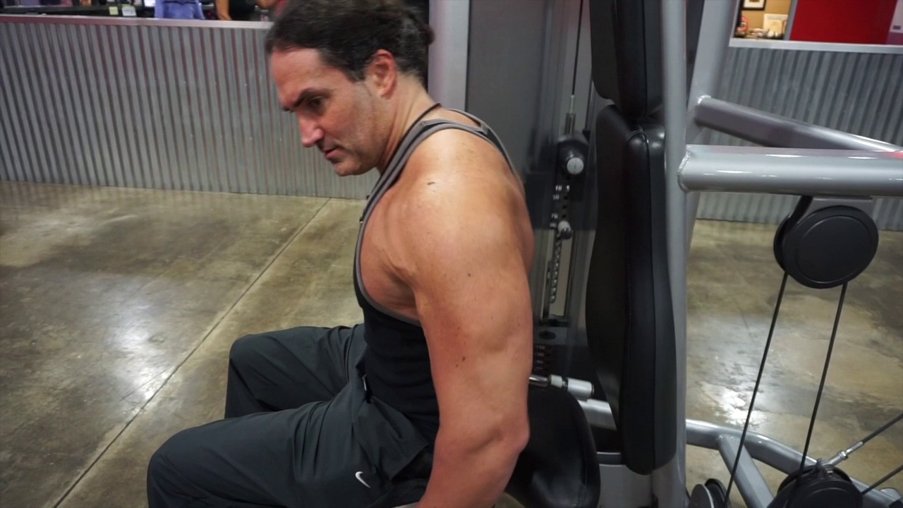 You are currently viewing Triceps Dips-8