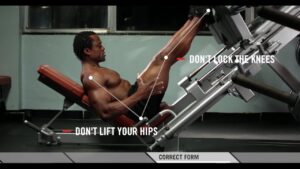 Read more about the article What Other Trainers Will Not Tell You: Building Huge Quads. Leg Press Done Right.