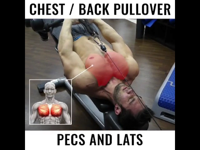 You are currently viewing chest/back pullover pecs and lats @ryan_spiteri gym beaston