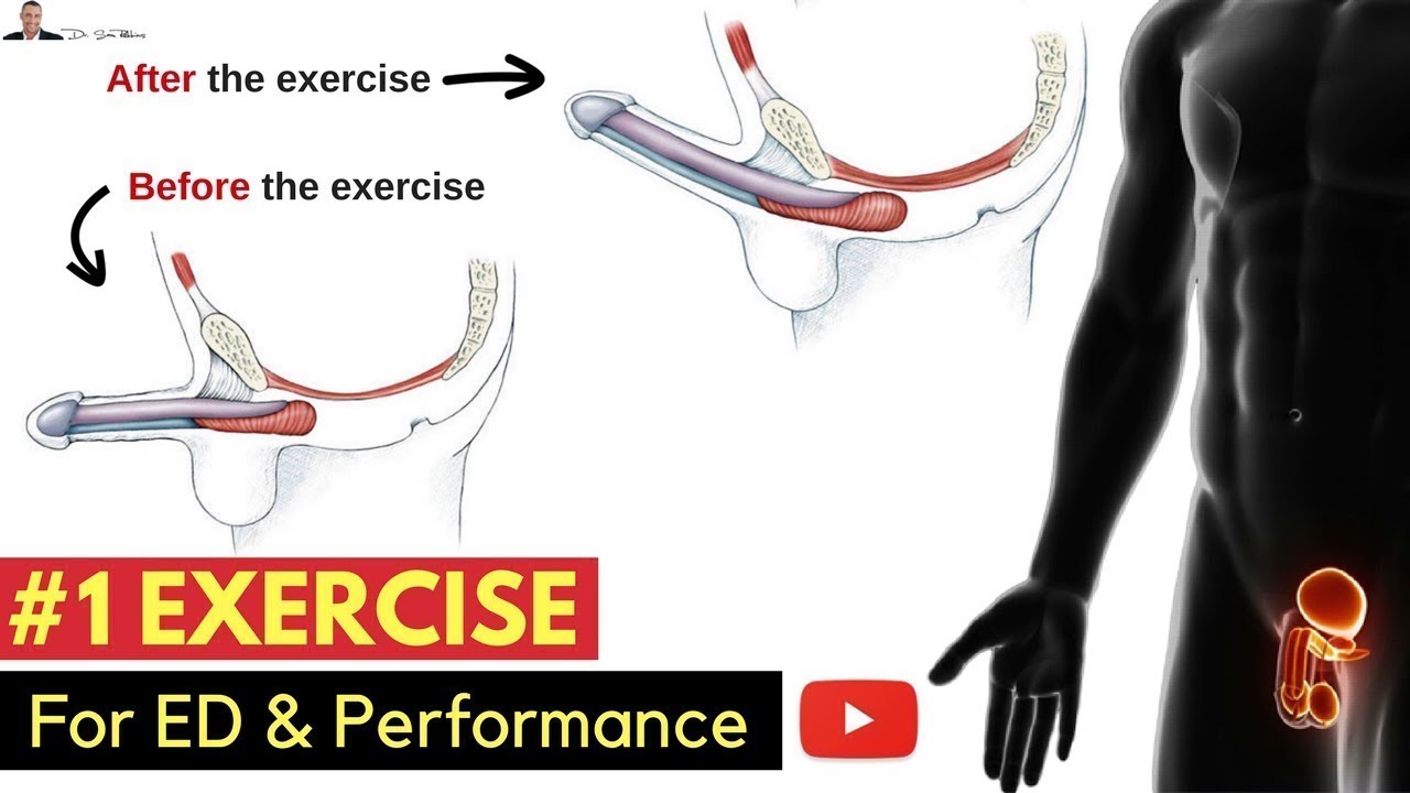 You are currently viewing ??‍♂️ #1 Exercise For Preventing Erectile Dysfunction & Improving Your Performance  In The Bedroom