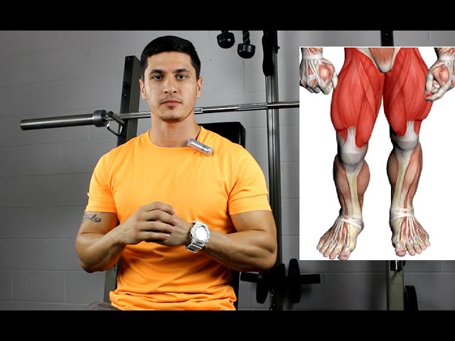 You are currently viewing 3 Quad Training Tips for Faster Leg Gains (Muscle-Group Series)