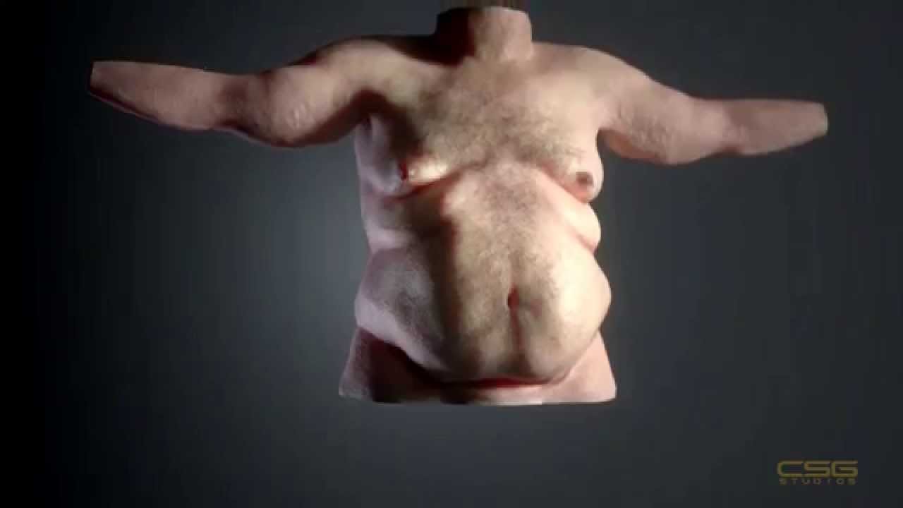 You are currently viewing 3D fat