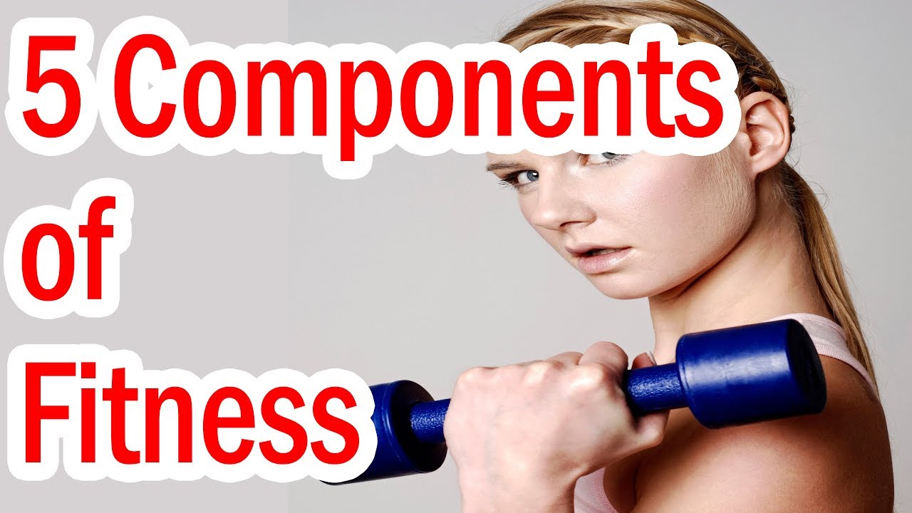 You are currently viewing 5 Components of  Fitness