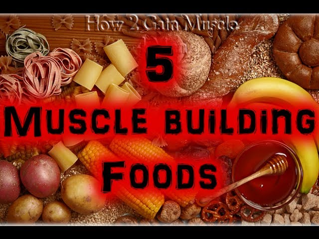 You are currently viewing 5 Great Muscle Building Foods [Full HD]