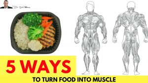 Read more about the article ? 5 Ways To Turn Food Into Muscle & NOT Fat – by Dr Sam Robbins