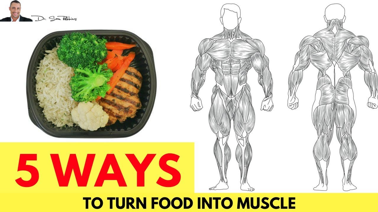 You are currently viewing ? 5 Ways To Turn Food Into Muscle & NOT Fat – by Dr Sam Robbins