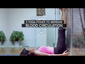 Circulatory System  Heart BP And Asanas Video – 2