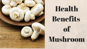 Read more about the article Mushroom Nutrition Video – 1