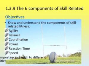 6 components of Skill related fitness
