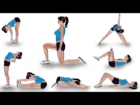 You are currently viewing 8 Stretching Exercises for Lower Back Pain