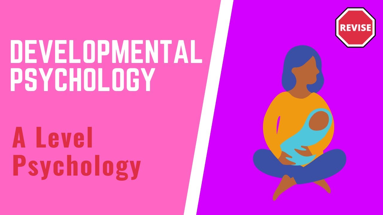 You are currently viewing Developmental Psychology Video – 4