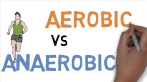 Read more about the article AEROBIC vs ANAEROBIC DIFFERENCE