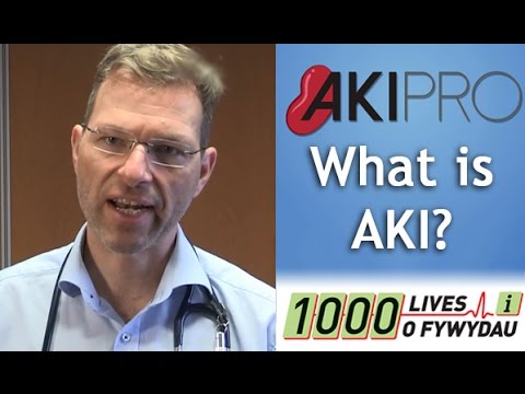 You are currently viewing AKI PRO: What is Acute Kidney Injury?