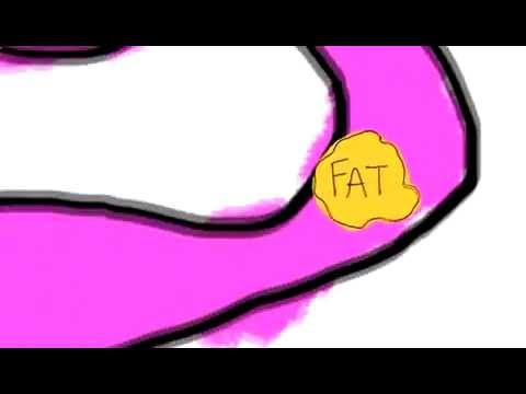 You are currently viewing Alli Weight Loss Aid Overview Animation