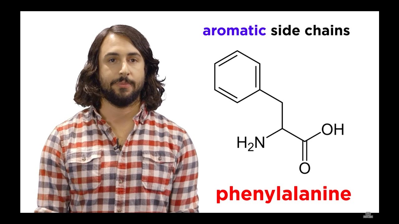 You are currently viewing Amino Acids