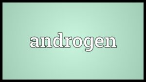 Androgen Meaning