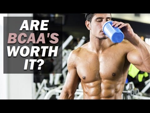 You are currently viewing Are BCAA’s Worth It? (Branched Chain Amino Acids Review)