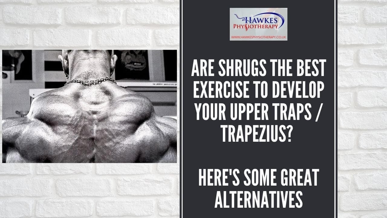 You are currently viewing Are shrugs the best exercise to develop your Upper Traps / Trapezius? Here’s some great alternatives