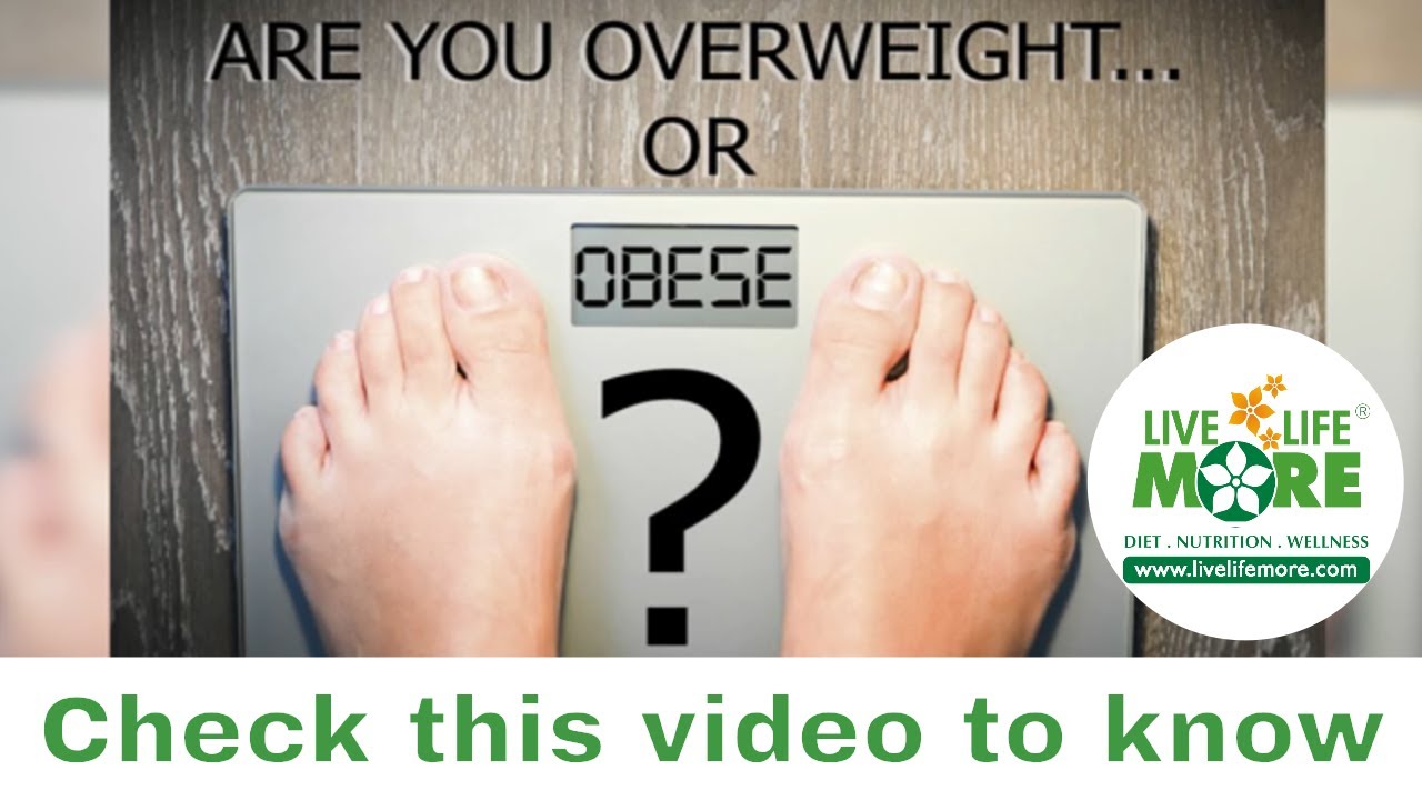 You are currently viewing Overweight & Obesity Video – 12