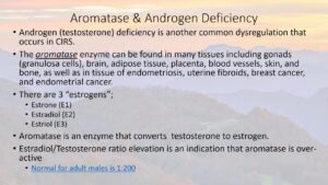 Testosterone & Androgenic Effects Video – 33