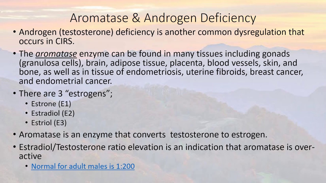 You are currently viewing Testosterone & Androgenic Effects Video – 33