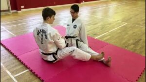 Read more about the article Assisted Stretching Exercises for Improved Martial Arts Flexibility