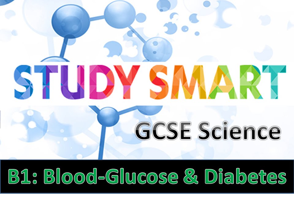 You are currently viewing B1 Homeostasis Blood Glucose and Diabetes EDEXCEL