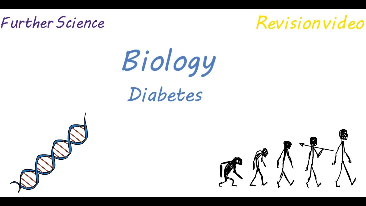 You are currently viewing B3: Diabetes (Revision)