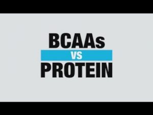 BCAA Supplement vs Protein Supplement – Know Your Supps – BPI Sports