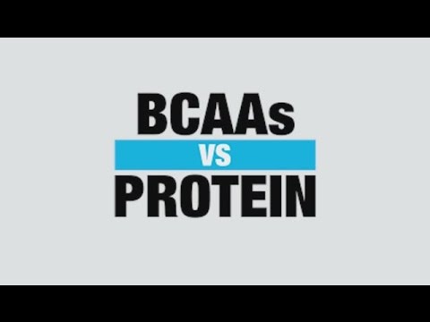 You are currently viewing BCAA Supplement vs Protein Supplement – Know Your Supps – BPI Sports