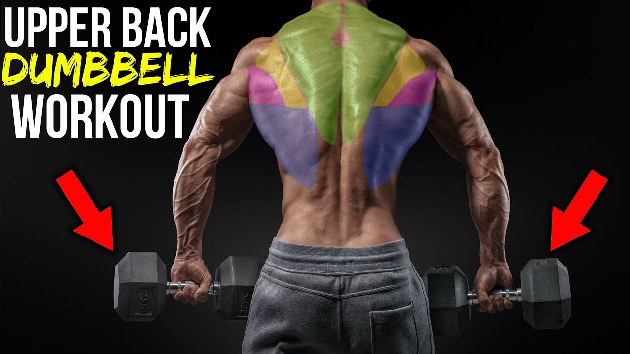 You are currently viewing BEAST Upper Back Dumbbell Workout For MASS (3 EXERCISES!!)