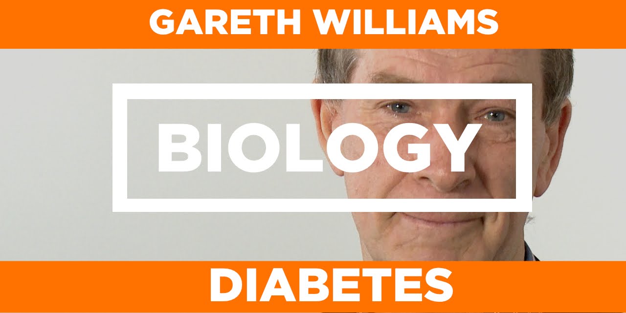 You are currently viewing BIOLOGY – Gareth Williams – Diabetes