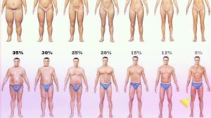 Read more about the article BMI vs Body fat %
