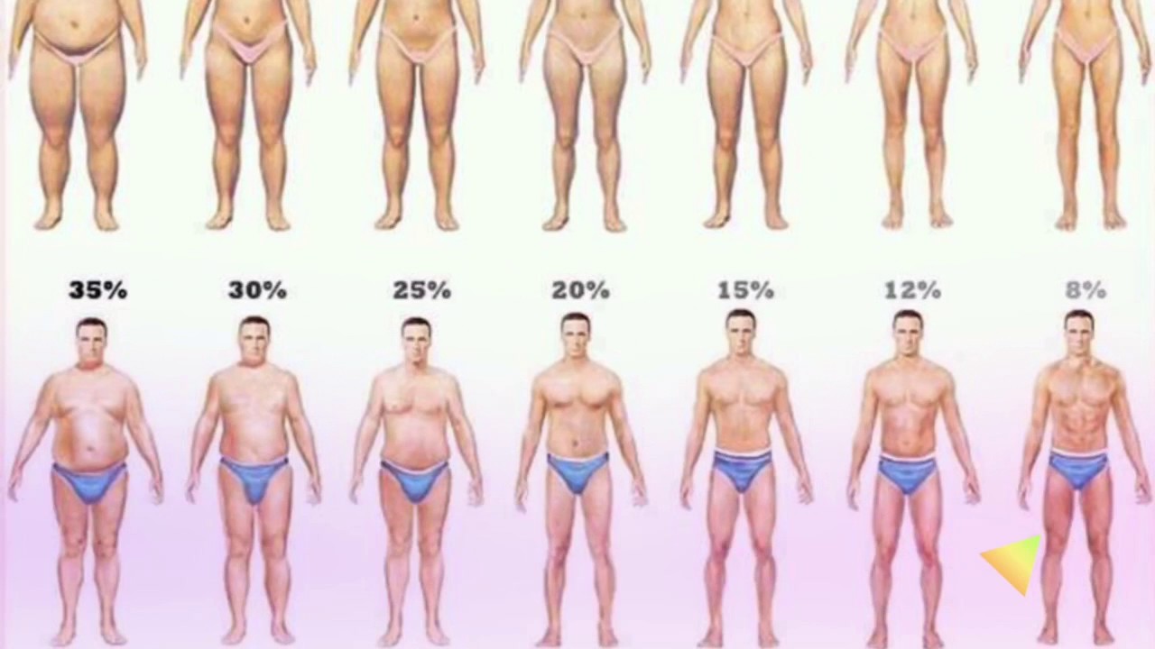 You are currently viewing BMI vs Body fat %
