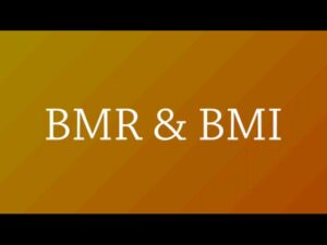 Read more about the article BMR & BMI