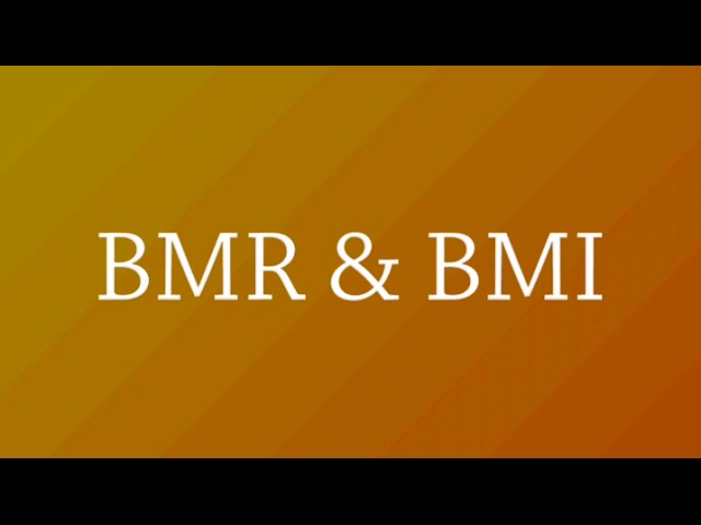 You are currently viewing BMR & BMI