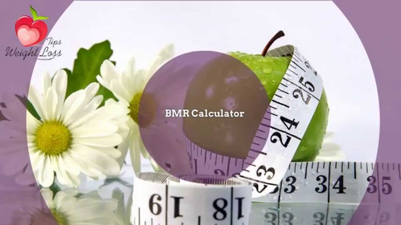 You are currently viewing BMR Calculator | Calculate Your Basal Metabolic Rate