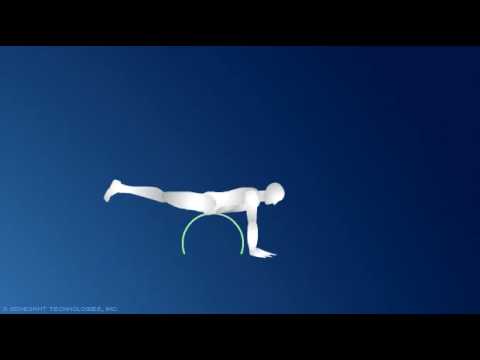 You are currently viewing Back Exercise Swiss-Ball Reverse Hyperextension Exercise