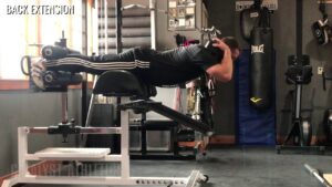 Read more about the article Back Extension – Olympic Weightlifting Exercise Library – Catalyst Athletics