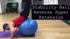 Read more about the article Back Stability Ball  Reverse Hyper Extension