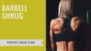 Barbell Shrug – upper back exercise correct form