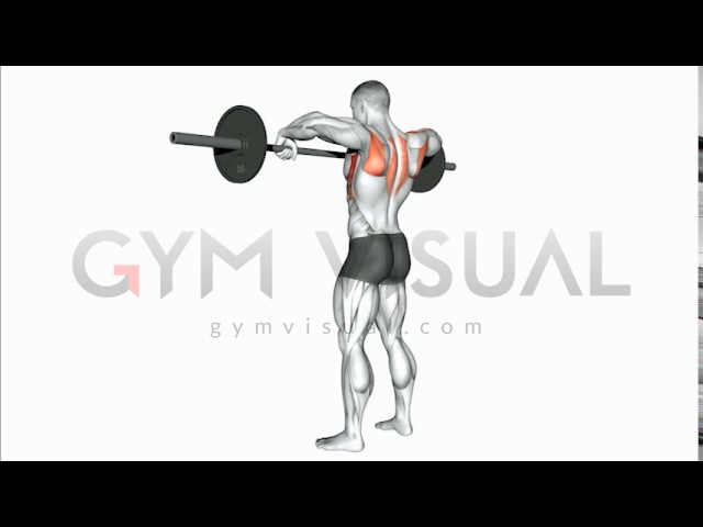 You are currently viewing Barbell Wide Grip Upright Row