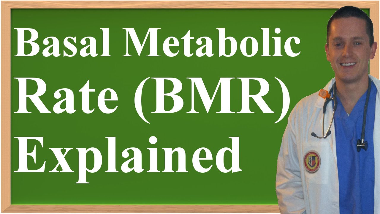 You are currently viewing Basal Metabolic Rate (BMR) Explained