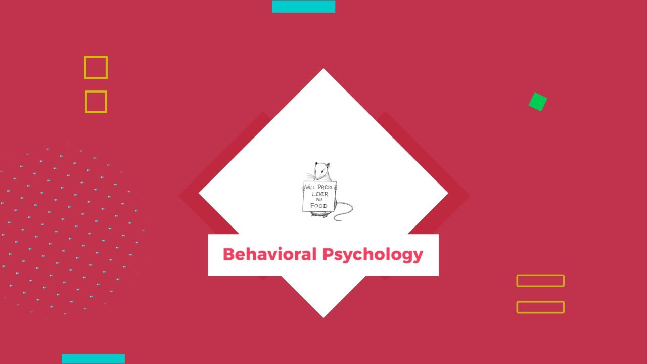 You are currently viewing Behavioral Psychology Video – 3