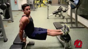 Read more about the article Bench Dips- Triceps Workout – Exercício para tríceps  (Legendado em portugues)