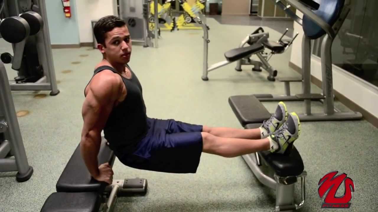 You are currently viewing Bench Dips- Triceps Workout – Exercício para tríceps  (Legendado em portugues)