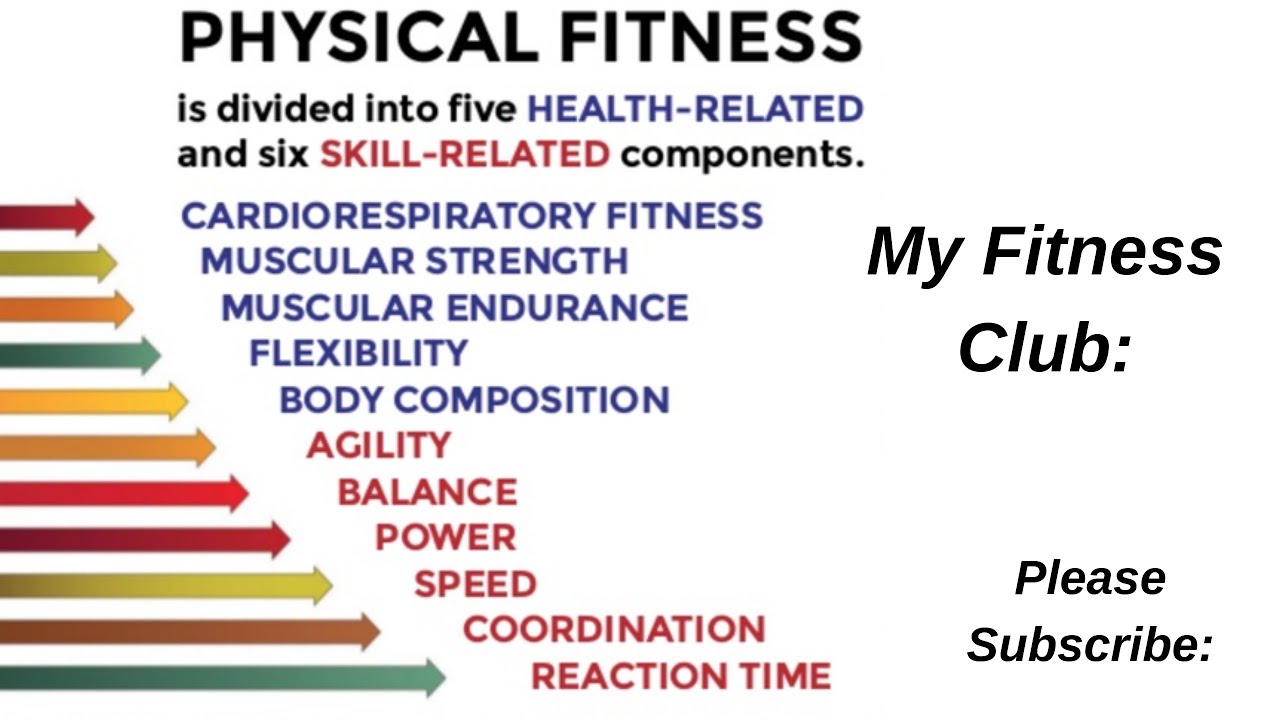 You are currently viewing Fitness Definition Components Video – 4