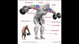 Best body building exercise
