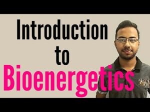 Bioenergetics Video – 2