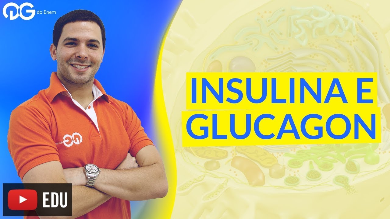 You are currently viewing Biologia: Insulina e glucagon – ENEM